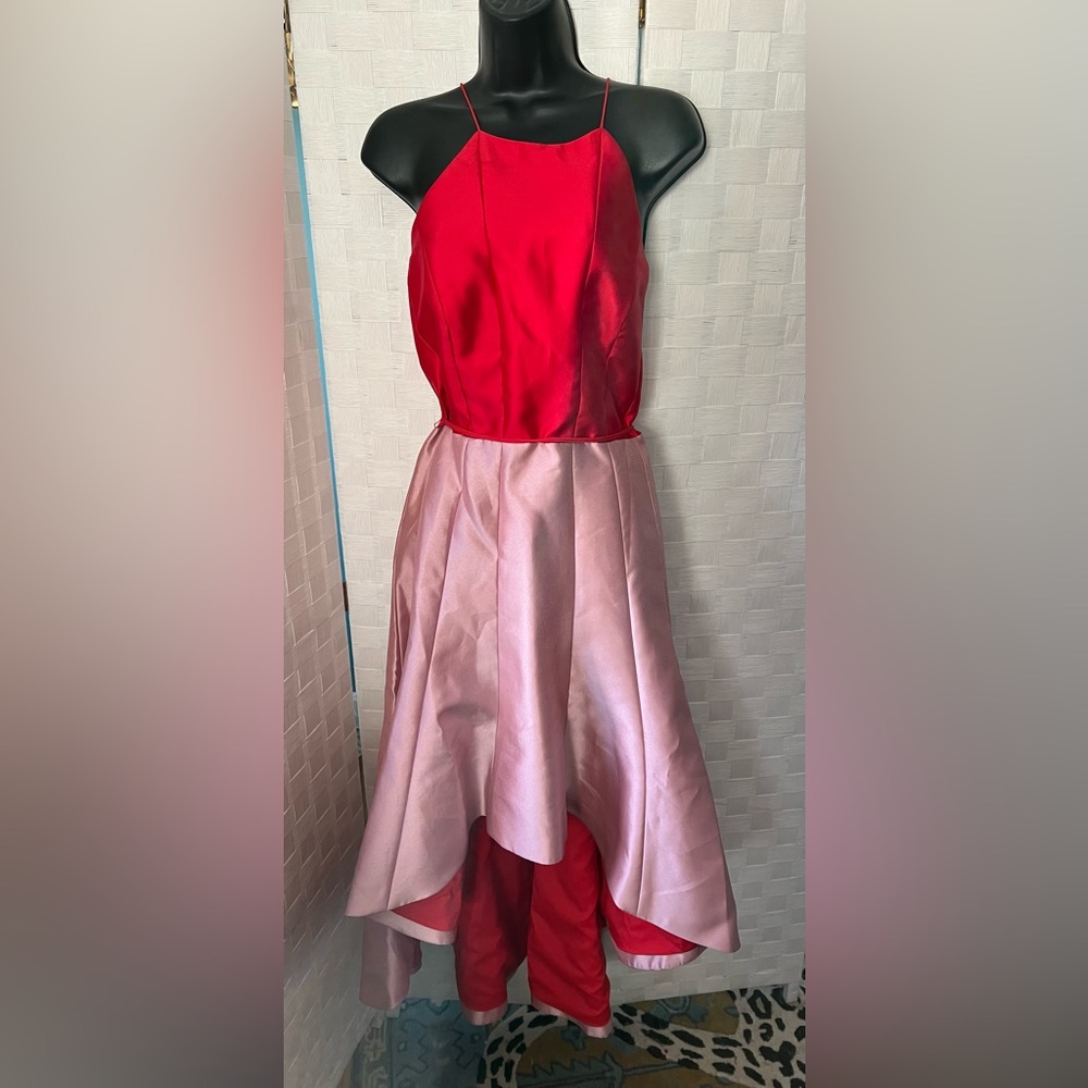 NWT $450 Phoebe Size 10 Hi Lo Cherry Parfait Dress $375
